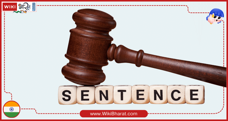 Sentence Meaning in Hindi