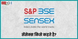Sensex Meaning in Hindi