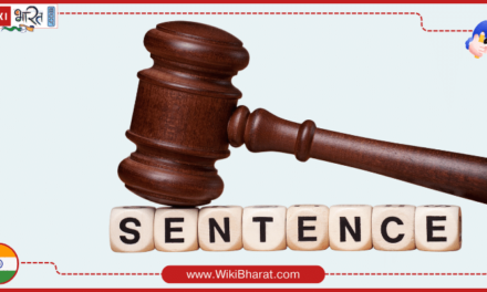 Sentence Meaning in Hindi