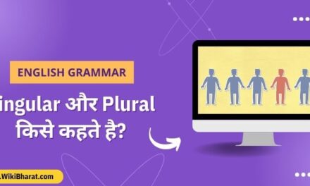 Singular and Plural in Hindi